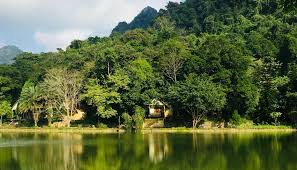 Ninh Binh Bicycle Tour Tam Coc, Cuc Phuong 2 Days